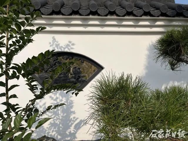 美了美了！石家庄公园又上新啦！休闲区蓝鸢梦想 - Www.slyday.coM