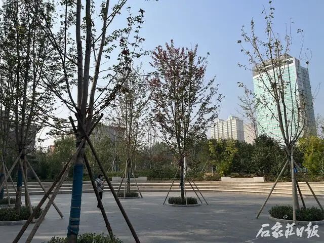美了美了！石家庄公园又上新啦！休闲区蓝鸢梦想 - Www.slyday.coM