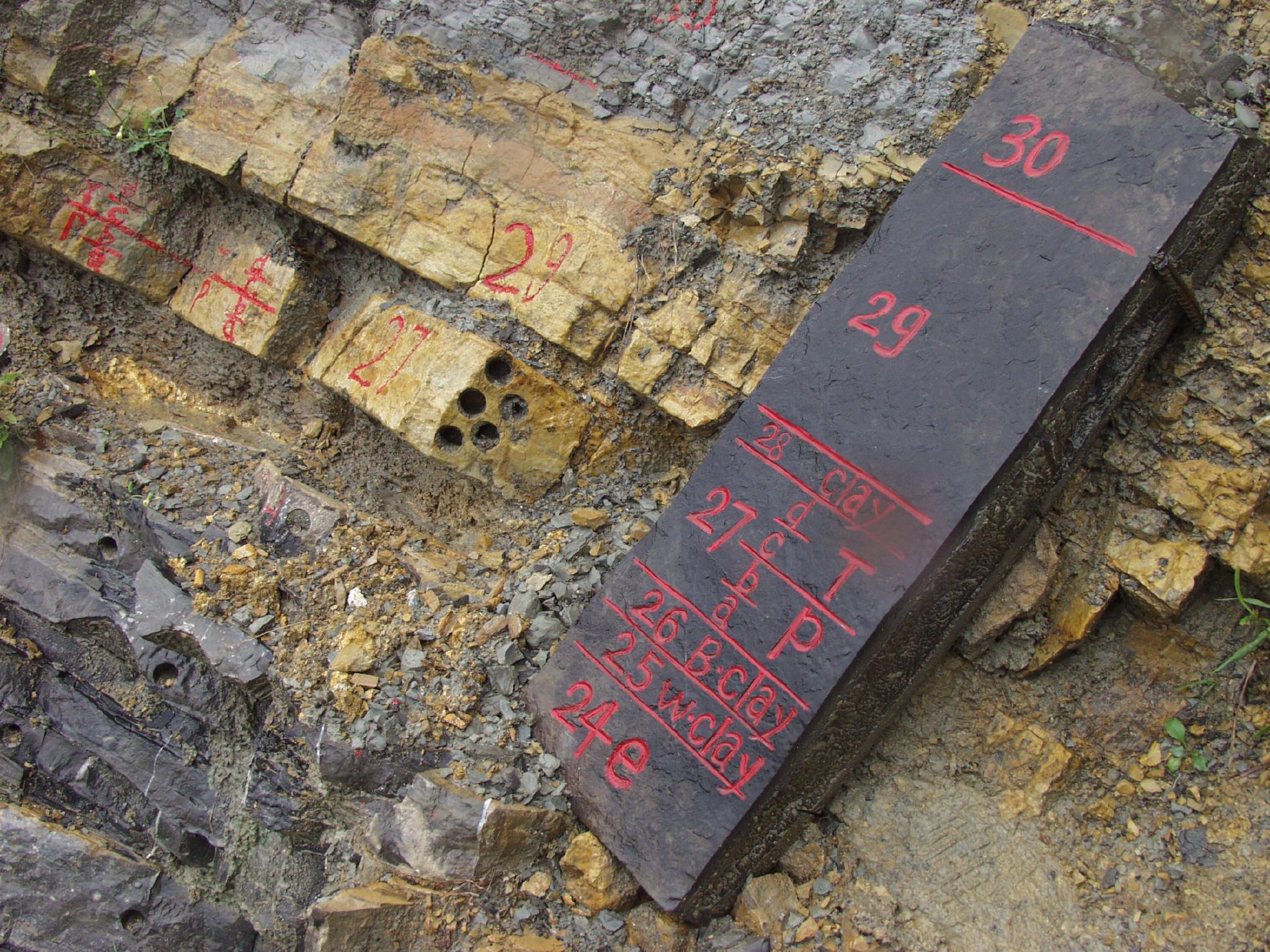 浙江长兴"金钉子"地质剖面.图片来自iugs官方平台