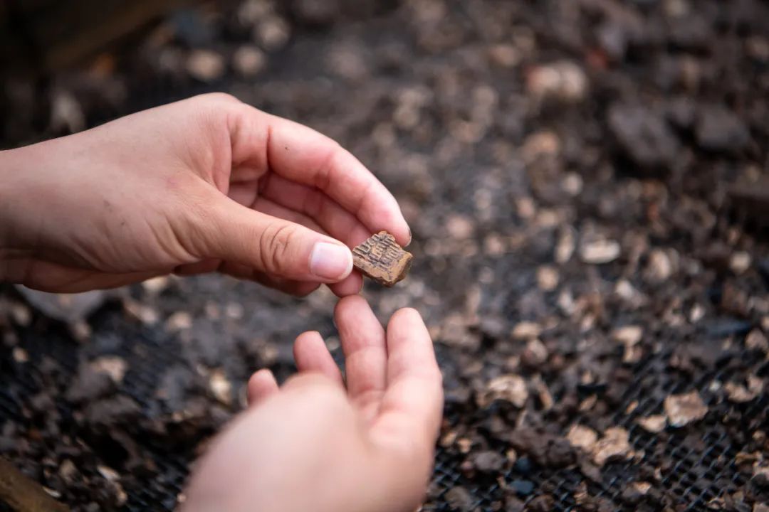 新闻眼休闲区蓝鸢梦想 - Www.slyday.coM