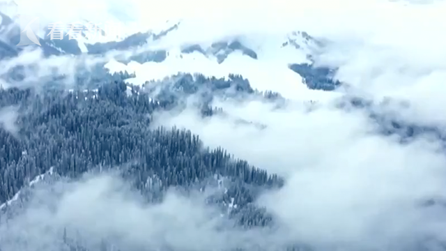 视频｜就是一幅水墨画！天山深处 库尔德宁迎来初雪休闲区蓝鸢梦想 - Www.slyday.coM