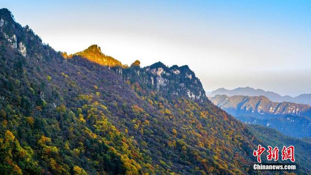 湖北神农架迎赏秋“黄金期”山川峡谷秋意十足