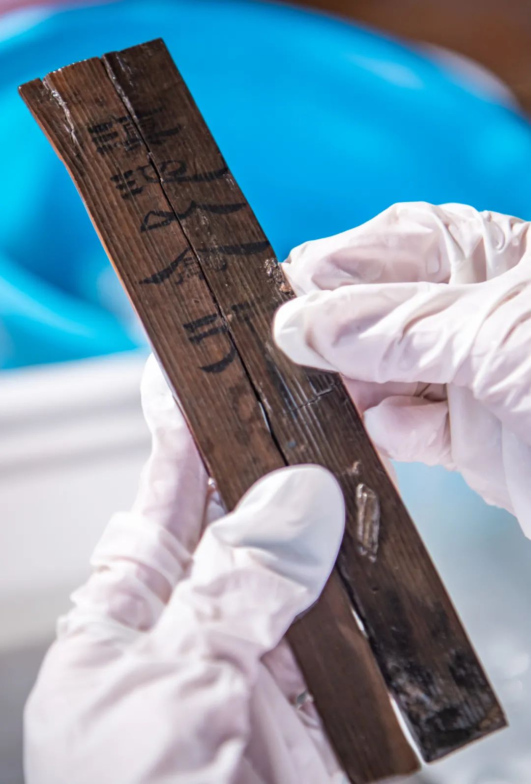 新闻眼休闲区蓝鸢梦想 - Www.slyday.coM