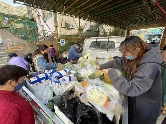 一颗白菜49.31元、团购蔬菜包60元？西宁通报休闲区蓝鸢梦想 - Www.slyday.coM