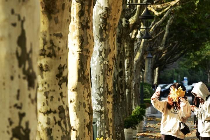 气温平稳但少了温暖的阳光，大家注意保暖，谨防感冒休闲区蓝鸢梦想 - Www.slyday.coM