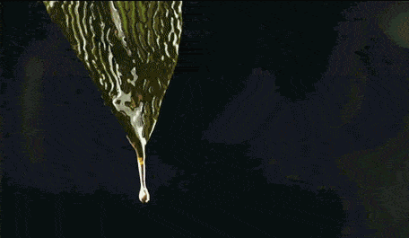 等了很久的，海蓝之谜新版精粹水福利来啦！休闲区蓝鸢梦想 - Www.slyday.coM