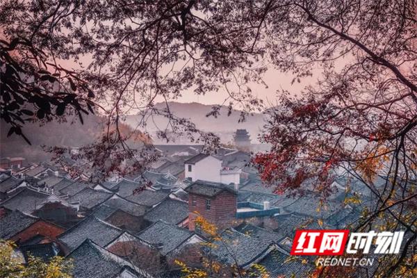 江永：不负秋色不负卿 醉美秋日上甘棠休闲区蓝鸢梦想 - Www.slyday.coM