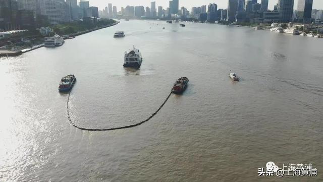 迎进博，黄浦海事局组织开展黄浦江客运船舶综合应急演习休闲区蓝鸢梦想 - Www.slyday.coM