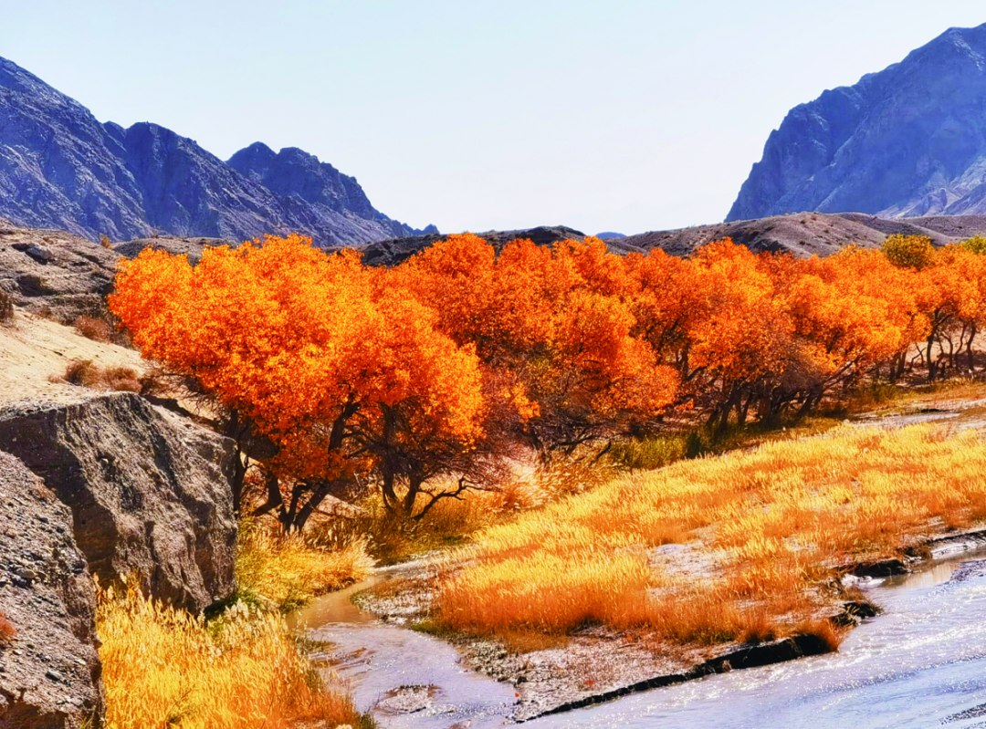 瓜州县榆林河峡谷(姜海波 摄)