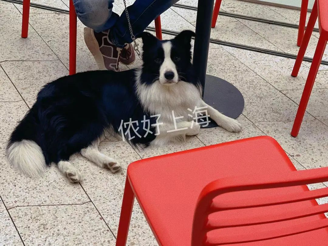 上海时髦的阿姨爷叔现在都在这里，工作日都人山人海！休闲区蓝鸢梦想 - Www.slyday.coM