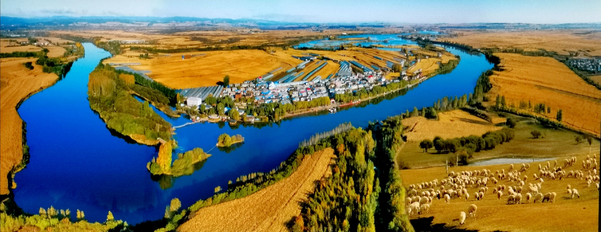 新华全媒 |黑龙江宁安:大学生返乡创业助力县域经济发展__财经头条