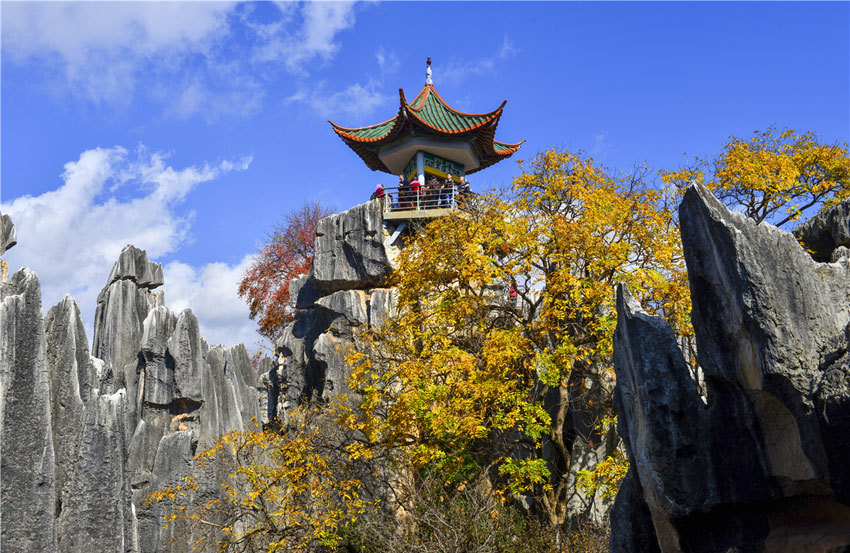 文山石林图片