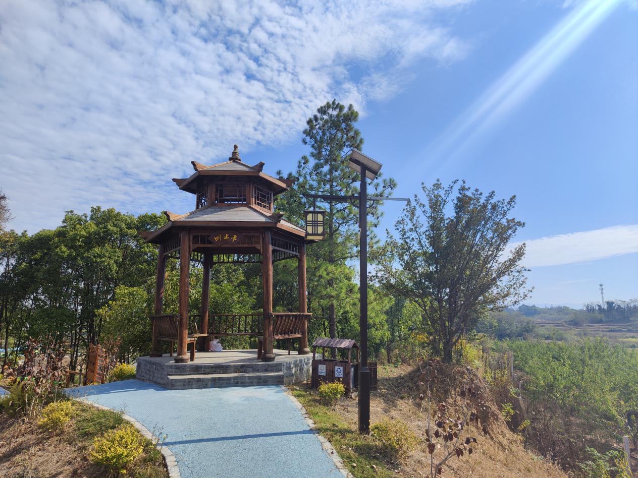 彭泽县定山镇联塘村:践行绿色发展理念 打造幸福美丽乡村|产业园_新浪