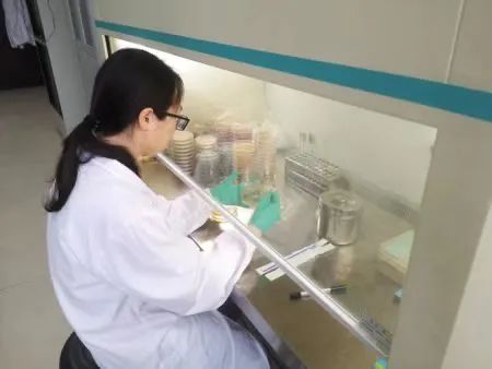 大黄鱼！水蜜桃！原来这些美味的背后这么多人在……休闲区蓝鸢梦想 - Www.slyday.coM