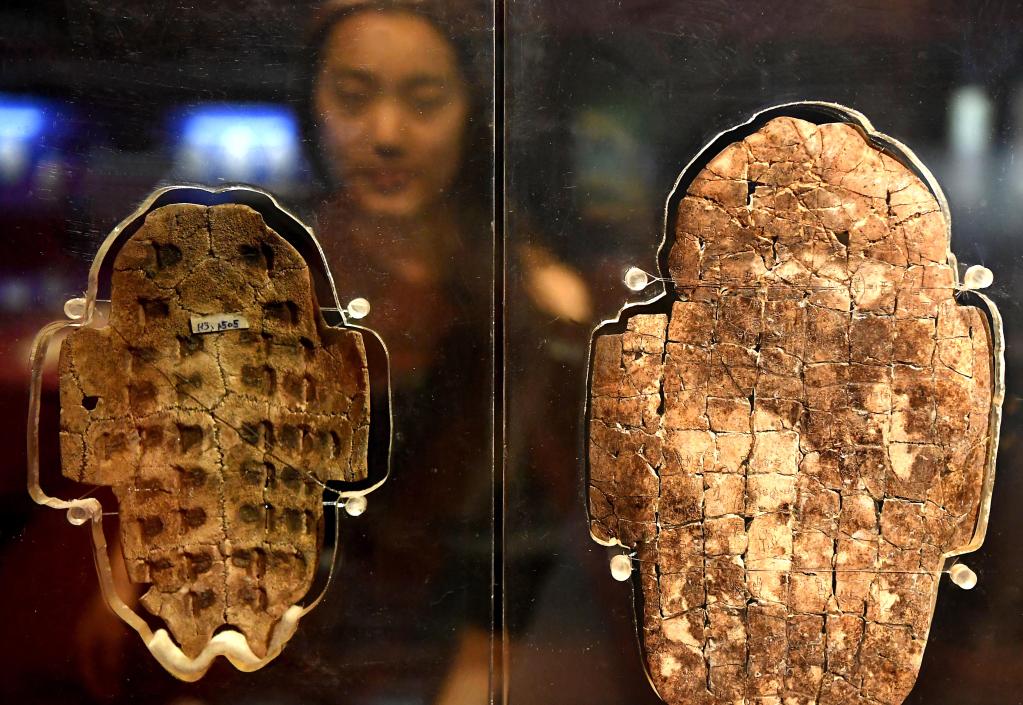 　　游客在河南安阳殷墟博物馆观看展出的卜甲（2018年10月12日摄）。新华社记者 李安 摄