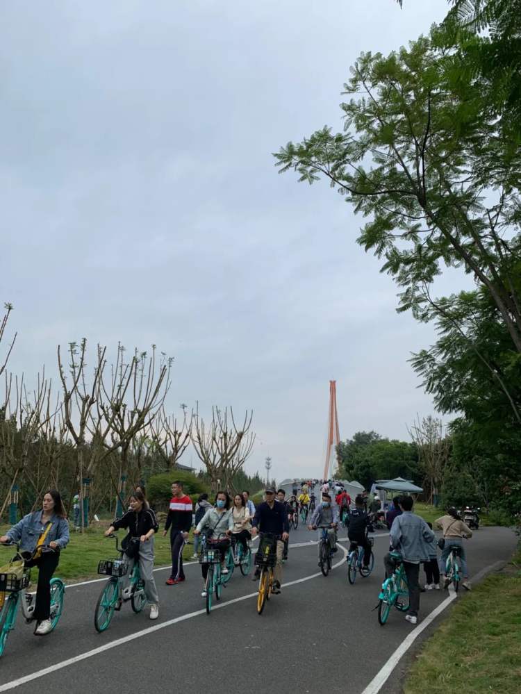 今年最爱骑行的人，都堵在天府绿道了休闲区蓝鸢梦想 - Www.slyday.coM