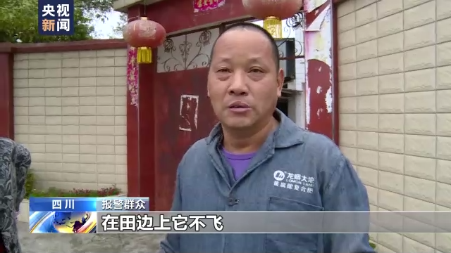 国家一级保护动物黑鹳受伤 四川彭州警民携手救助休闲区蓝鸢梦想 - Www.slyday.coM