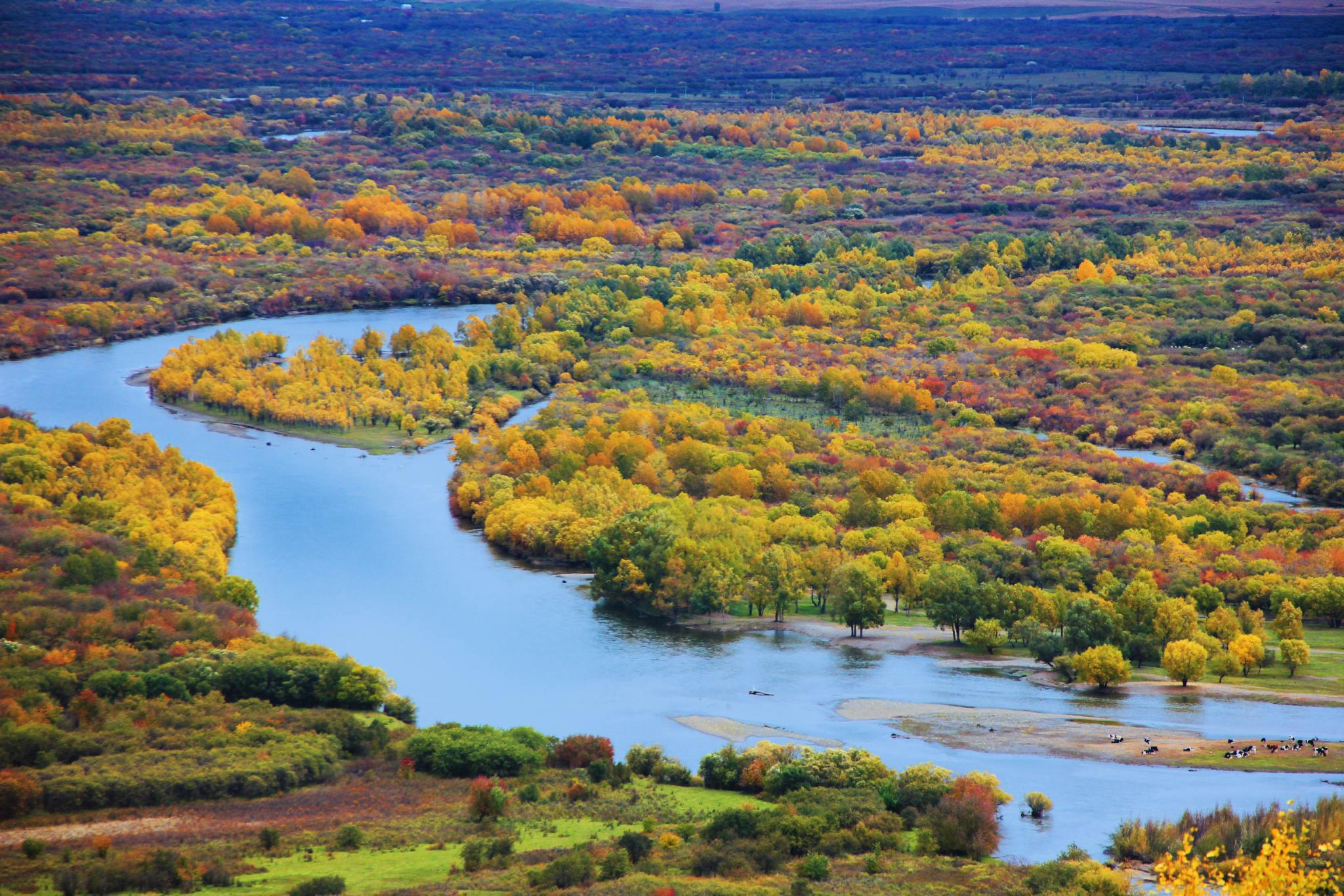 湿地之美丨内蒙古额尔古纳湿地__财经头条