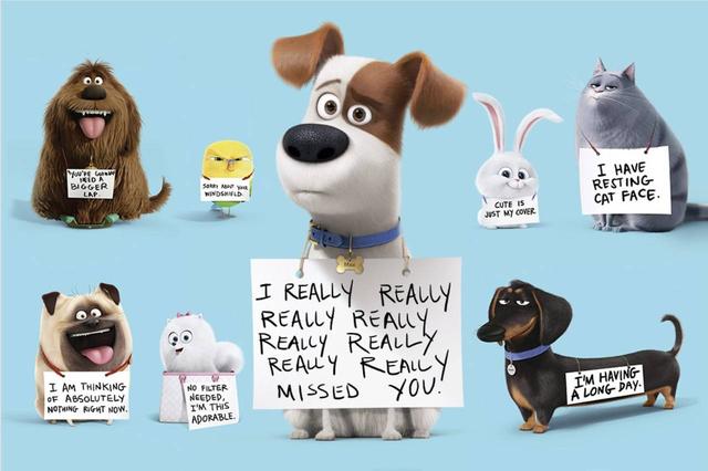 晚安十点（2022.10.29）丨为什么有这么多都市人，甘愿成为“铲屎官”？休闲区蓝鸢梦想 - Www.slyday.coM