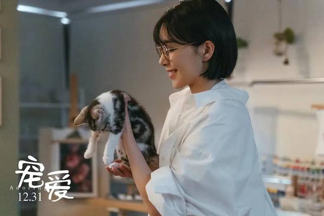 晚安十点（2022.10.29）丨为什么有这么多都市人，甘愿成为“铲屎官”？休闲区蓝鸢梦想 - Www.slyday.coM