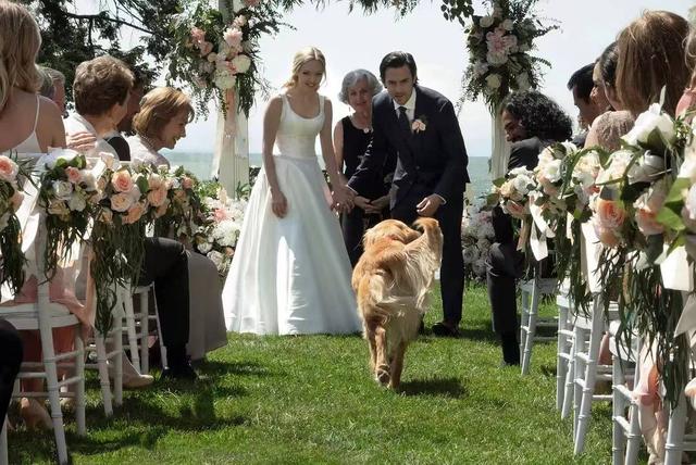 晚安十点（2022.10.29）丨为什么有这么多都市人，甘愿成为“铲屎官”？休闲区蓝鸢梦想 - Www.slyday.coM