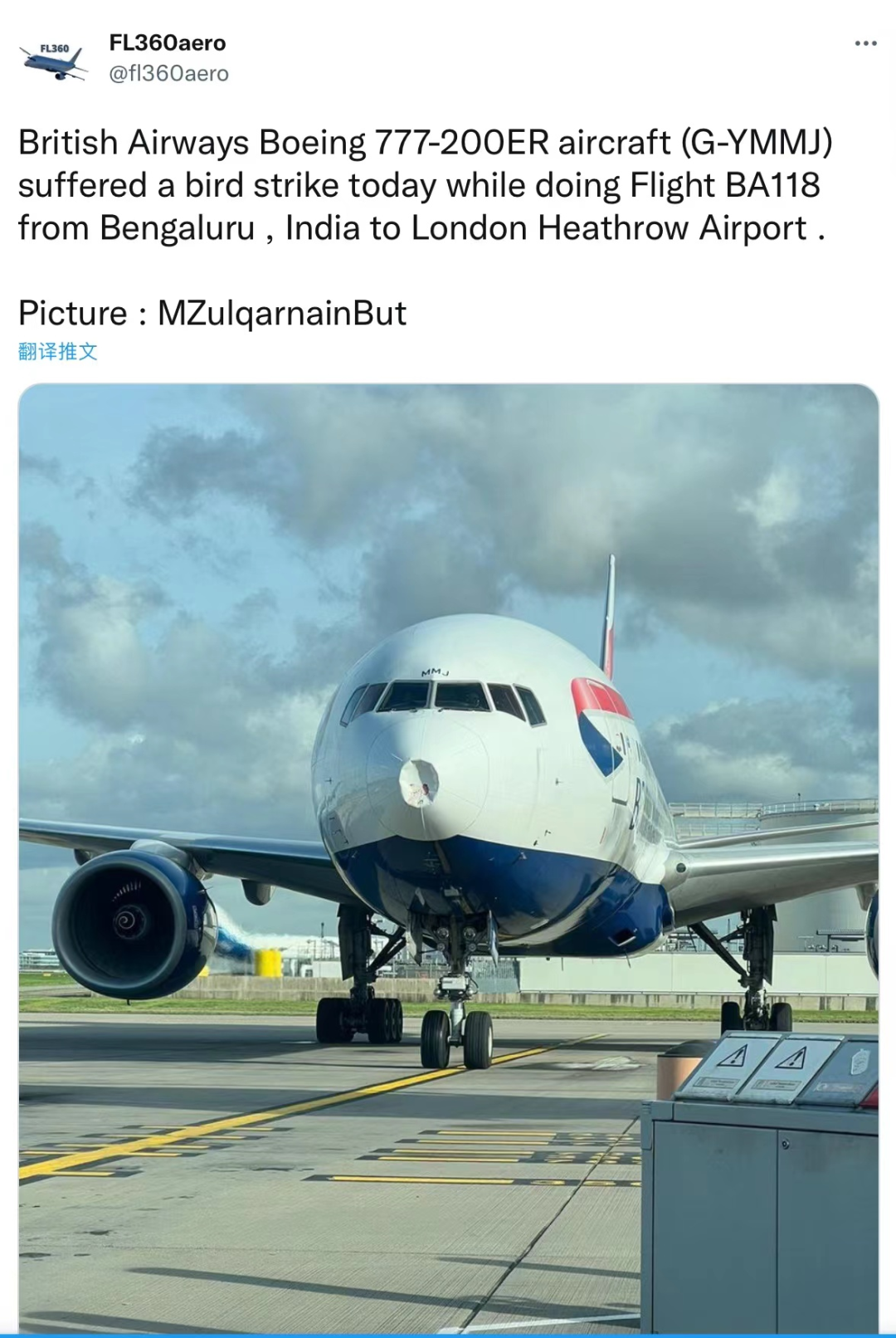 突发！英国王后所乘飞机遭鸟撞击休闲区蓝鸢梦想 - Www.slyday.coM
