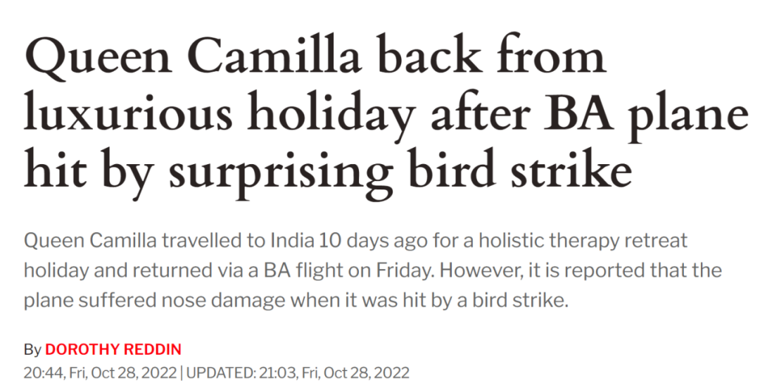 突发！英国王后所乘飞机遭鸟撞击休闲区蓝鸢梦想 - Www.slyday.coM