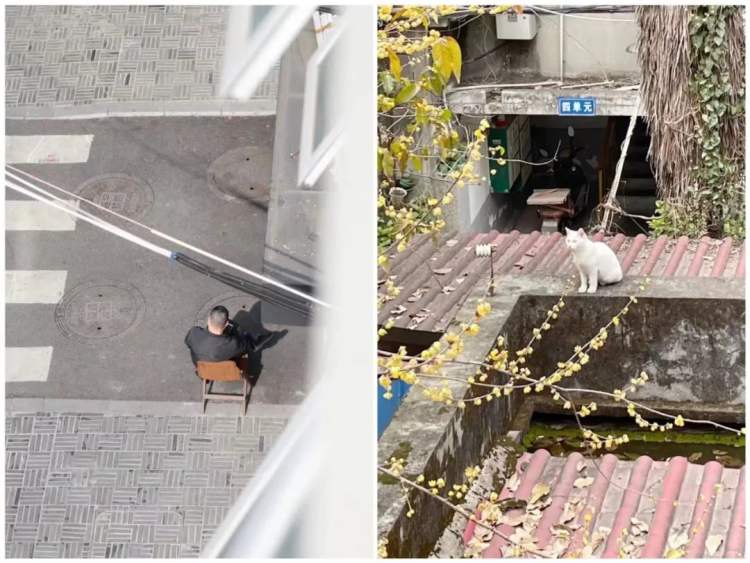 今年最爱骑行的人，都堵在天府绿道了休闲区蓝鸢梦想 - Www.slyday.coM