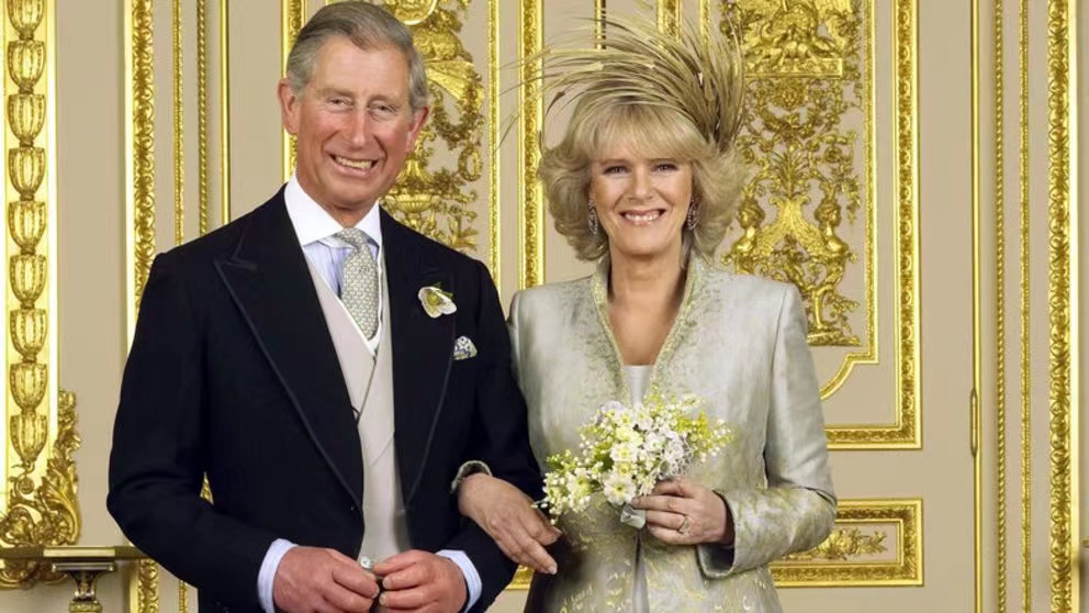 突发！英国王后所乘飞机遭鸟撞击休闲区蓝鸢梦想 - Www.slyday.coM