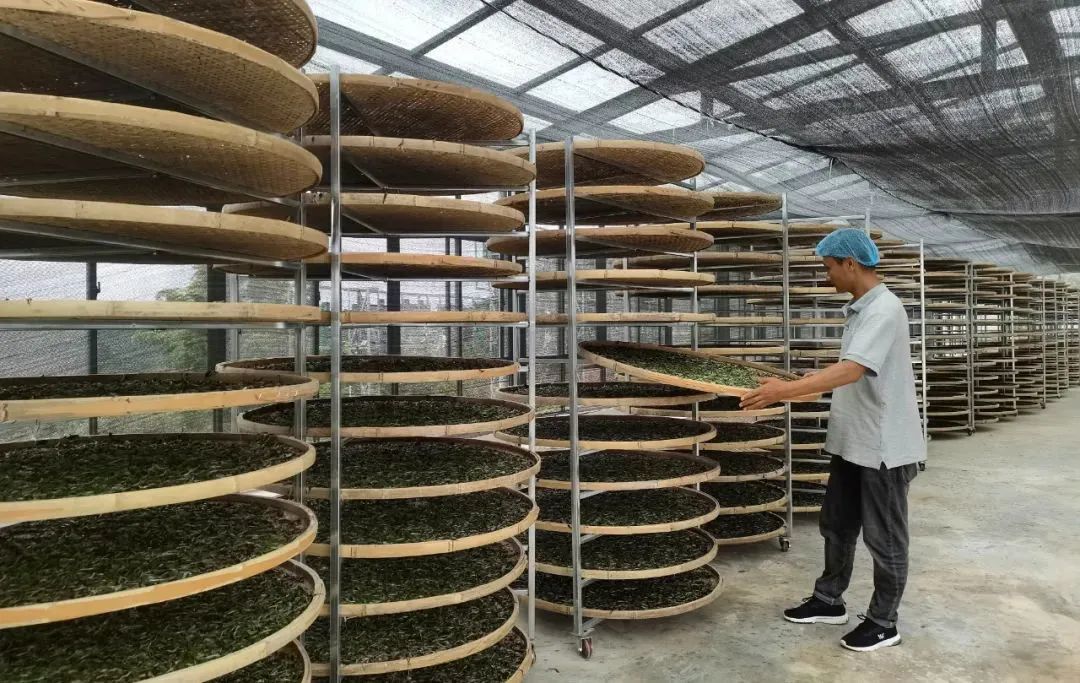 普洱思茅：移民村蝶变 村美民富产业旺休闲区蓝鸢梦想 - Www.slyday.coM