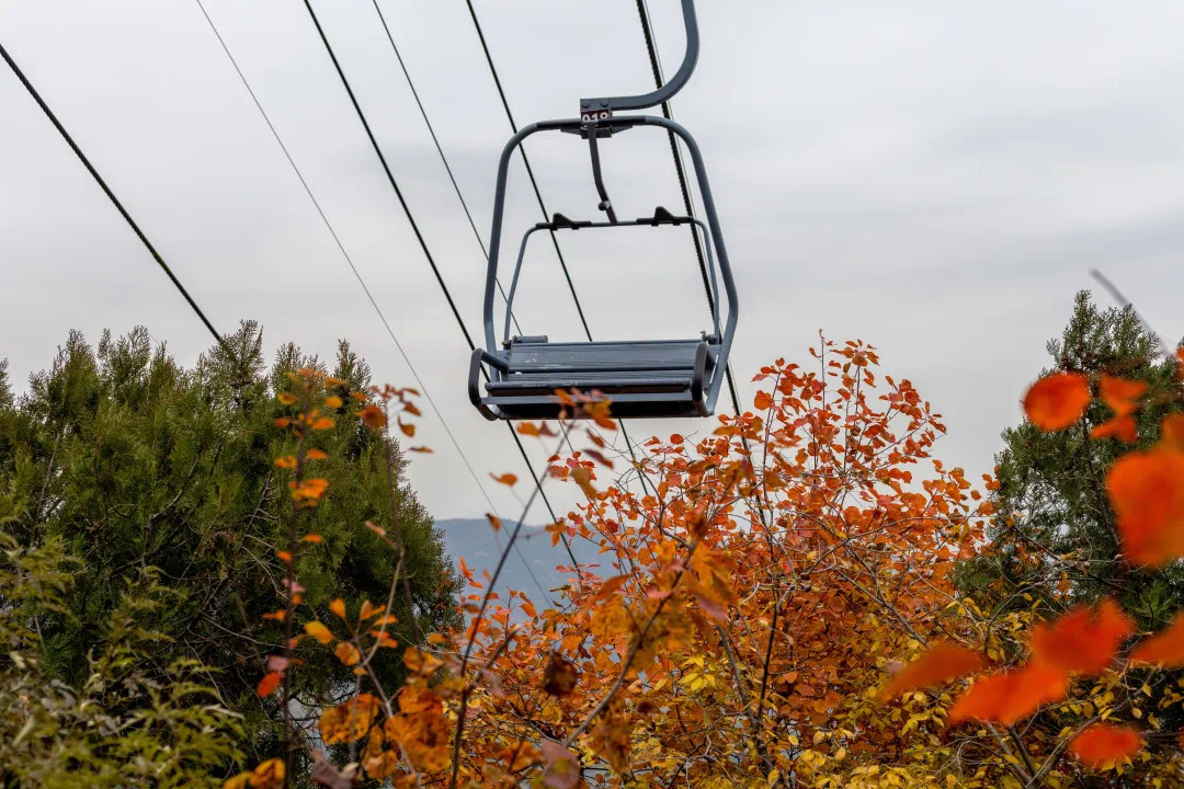 (下)|香山红叶|香山公园_新浪新闻