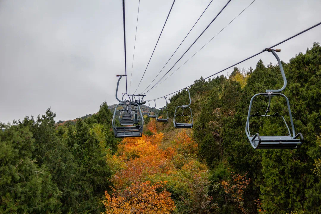 (下)|香山红叶|香山公园_新浪新闻