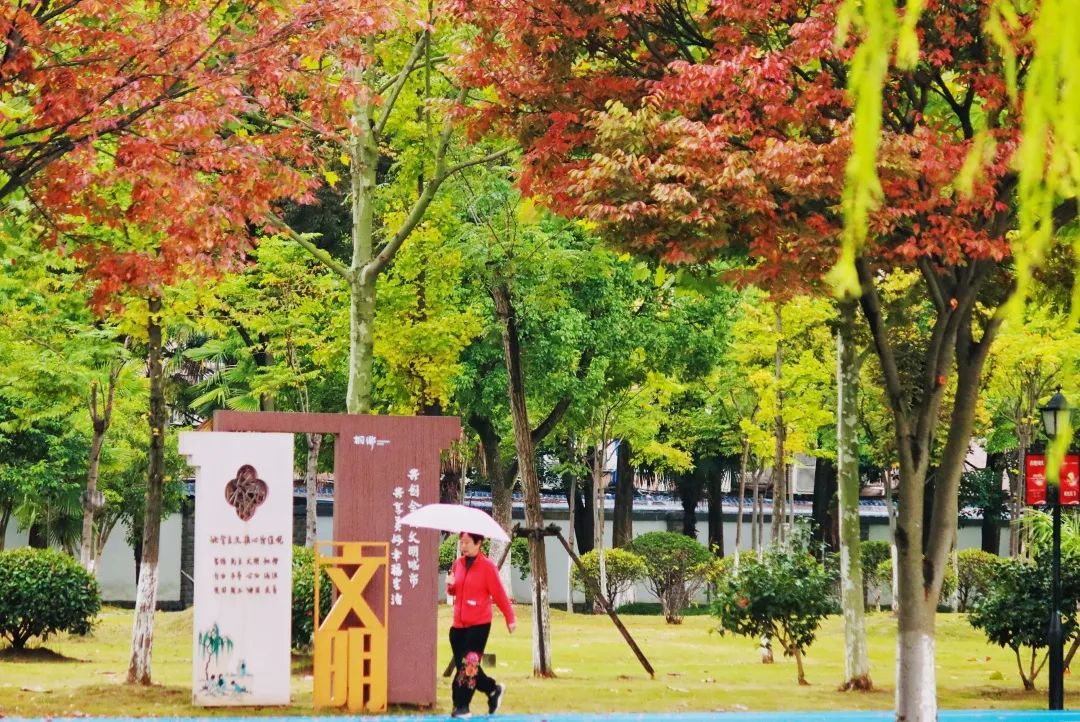 冷空气轮番来！桐乡下周最低降至9℃休闲区蓝鸢梦想 - Www.slyday.coM