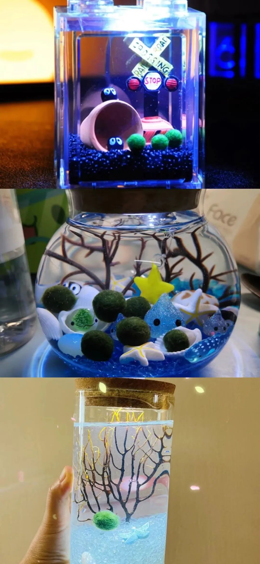 拒绝挖野菜的打工人，都在忙着给野生石头征婚休闲区蓝鸢梦想 - Www.slyday.coM