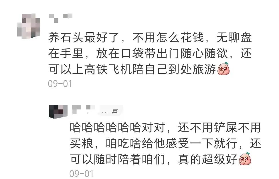 拒绝挖野菜的打工人，都在忙着给野生石头征婚休闲区蓝鸢梦想 - Www.slyday.coM