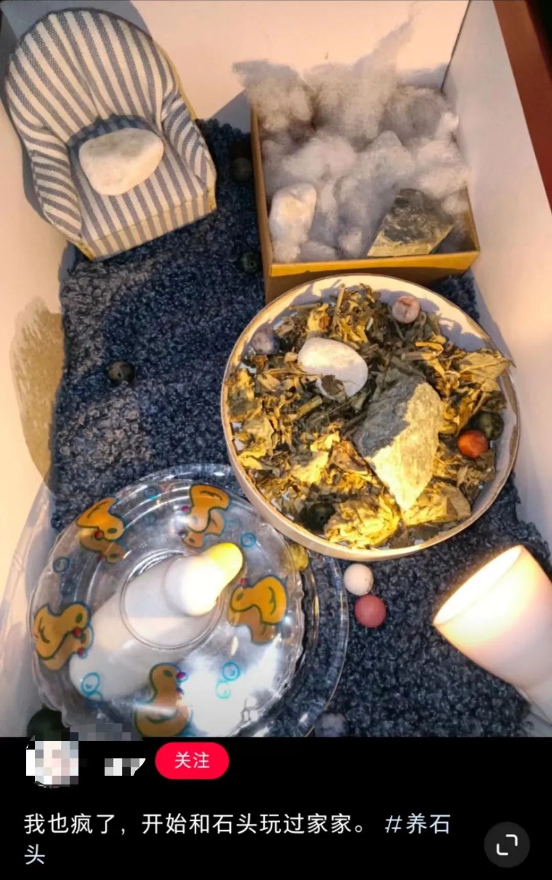 拒绝挖野菜的打工人，都在忙着给野生石头征婚休闲区蓝鸢梦想 - Www.slyday.coM