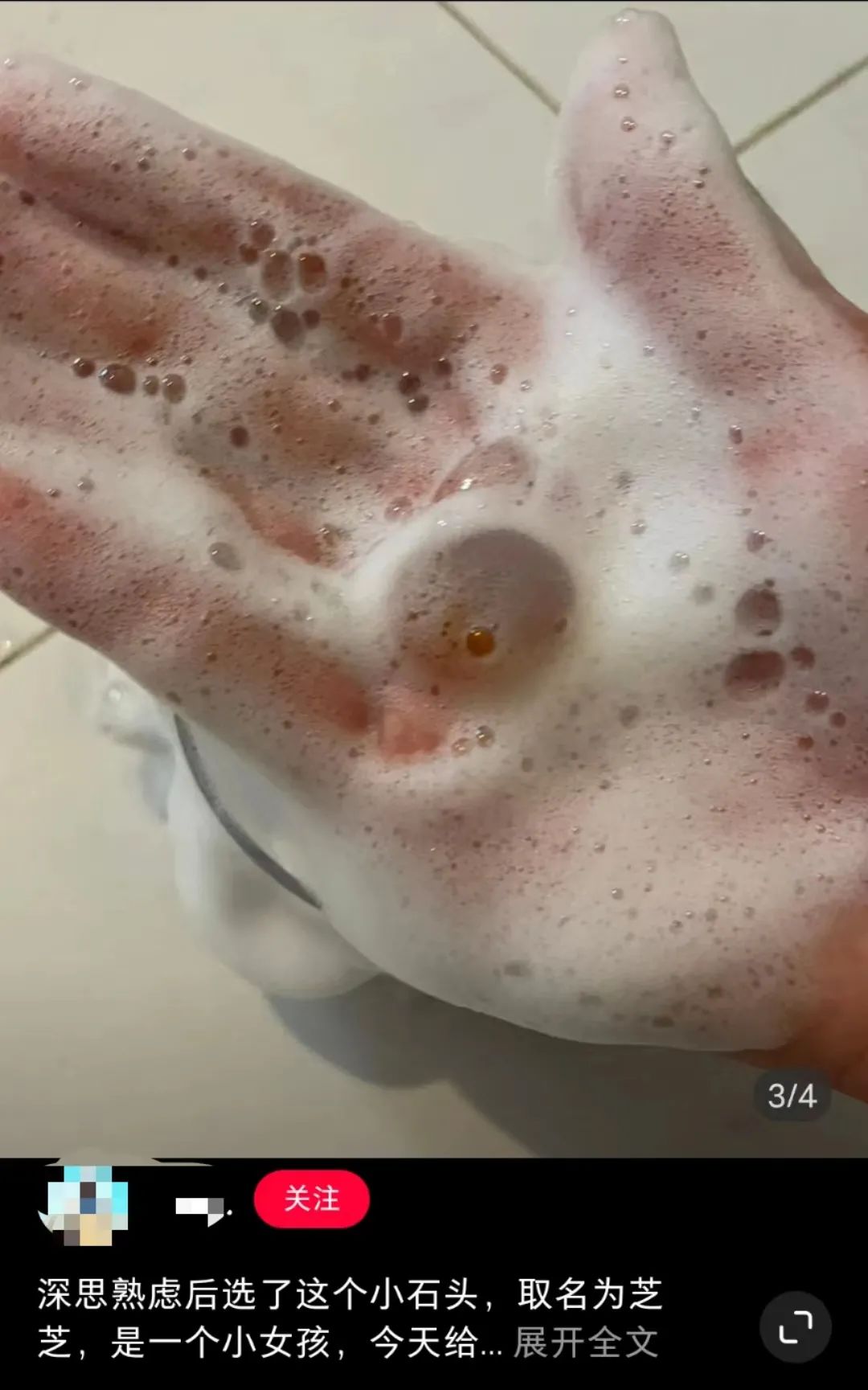 拒绝挖野菜的打工人，都在忙着给野生石头征婚休闲区蓝鸢梦想 - Www.slyday.coM