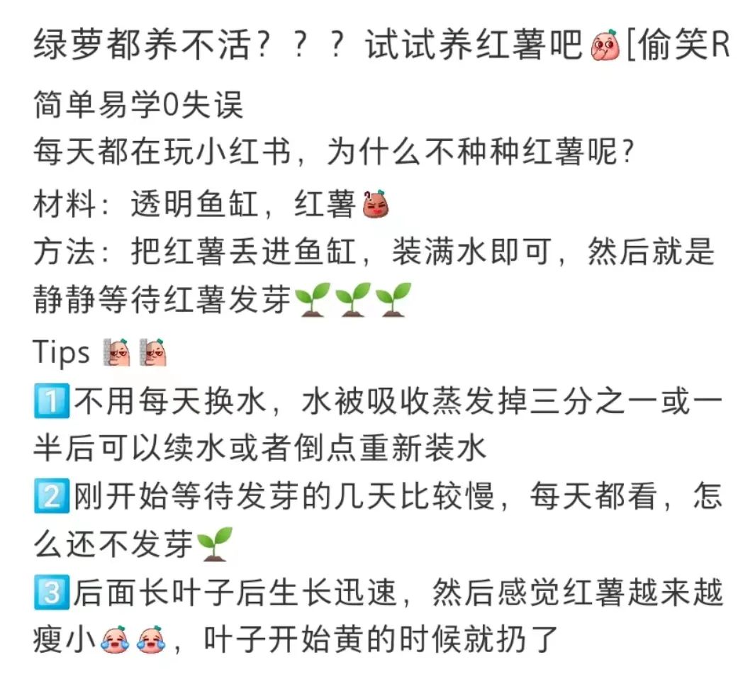 拒绝挖野菜的打工人，都在忙着给野生石头征婚休闲区蓝鸢梦想 - Www.slyday.coM