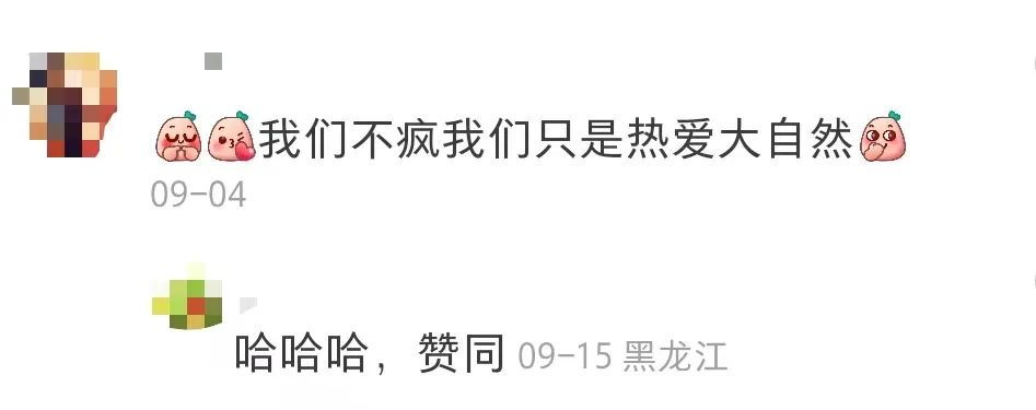 拒绝挖野菜的打工人，都在忙着给野生石头征婚休闲区蓝鸢梦想 - Www.slyday.coM