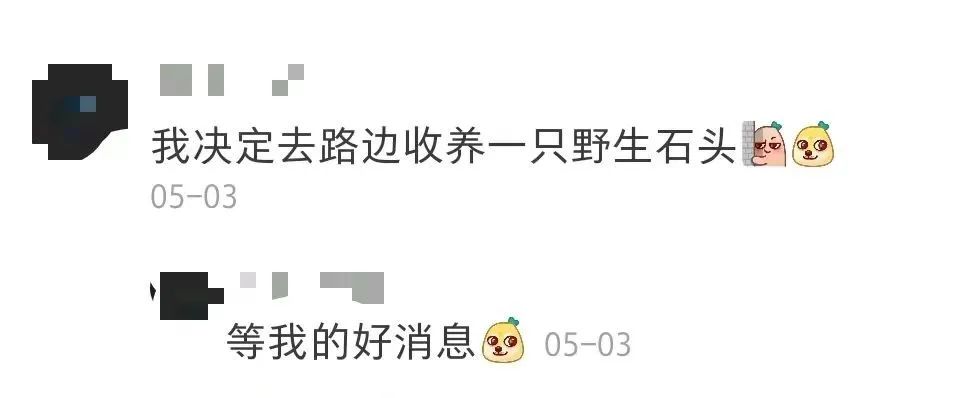 拒绝挖野菜的打工人，都在忙着给野生石头征婚休闲区蓝鸢梦想 - Www.slyday.coM