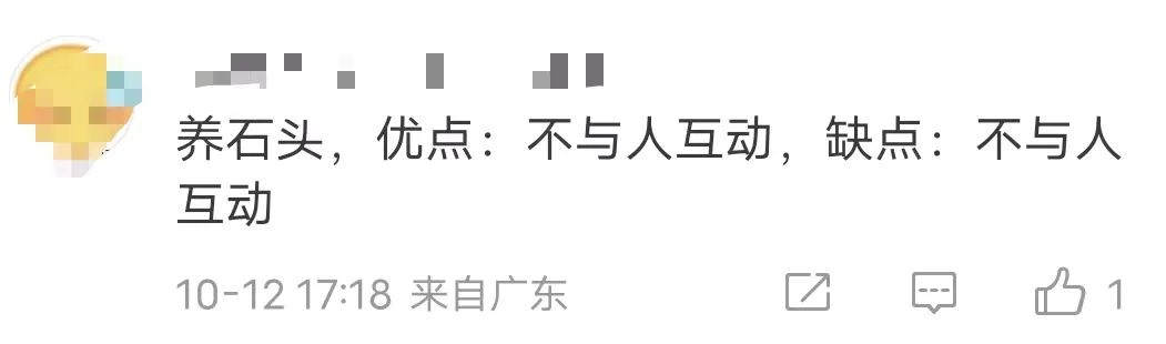 拒绝挖野菜的打工人，都在忙着给野生石头征婚休闲区蓝鸢梦想 - Www.slyday.coM