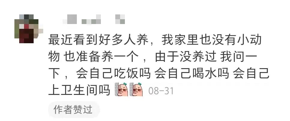 拒绝挖野菜的打工人，都在忙着给野生石头征婚休闲区蓝鸢梦想 - Www.slyday.coM