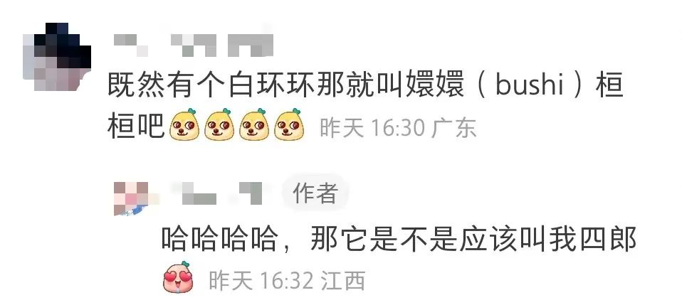 拒绝挖野菜的打工人，都在忙着给野生石头征婚休闲区蓝鸢梦想 - Www.slyday.coM