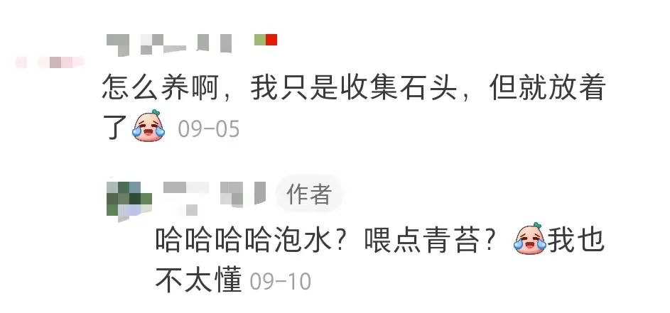 拒绝挖野菜的打工人，都在忙着给野生石头征婚休闲区蓝鸢梦想 - Www.slyday.coM