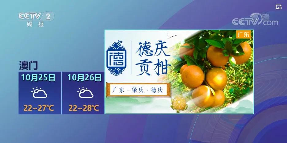 又上央视！每天都能看到它！肇庆这个农产品厉害了休闲区蓝鸢梦想 - Www.slyday.coM