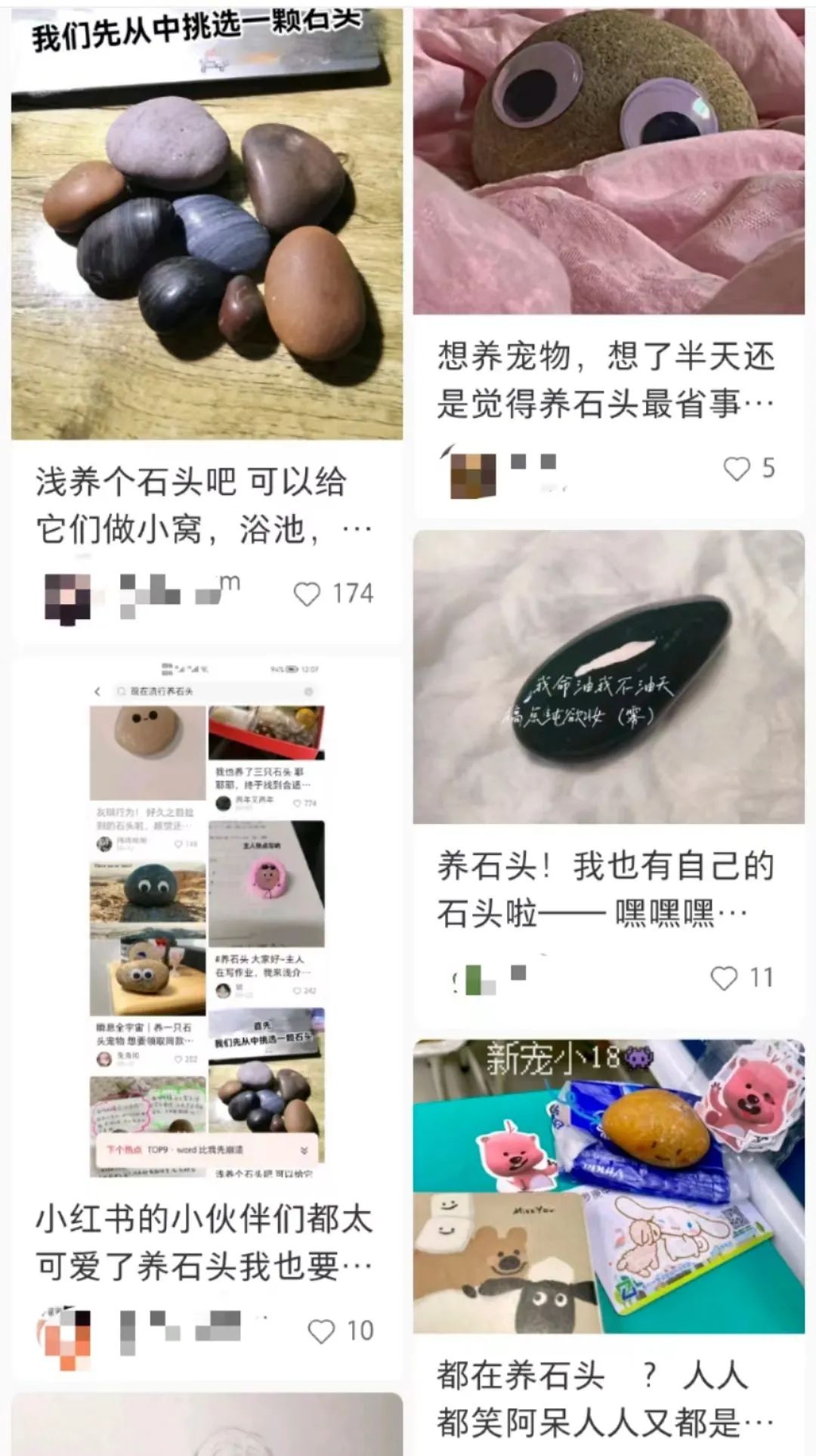 拒绝挖野菜的打工人，都在忙着给野生石头征婚休闲区蓝鸢梦想 - Www.slyday.coM