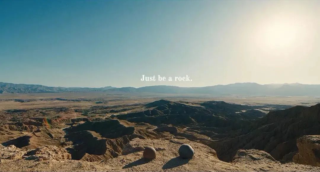 拒绝挖野菜的打工人，都在忙着给野生石头征婚休闲区蓝鸢梦想 - Www.slyday.coM