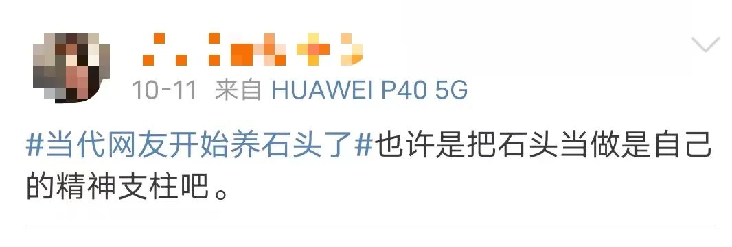 拒绝挖野菜的打工人，都在忙着给野生石头征婚休闲区蓝鸢梦想 - Www.slyday.coM