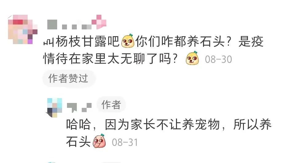 拒绝挖野菜的打工人，都在忙着给野生石头征婚休闲区蓝鸢梦想 - Www.slyday.coM