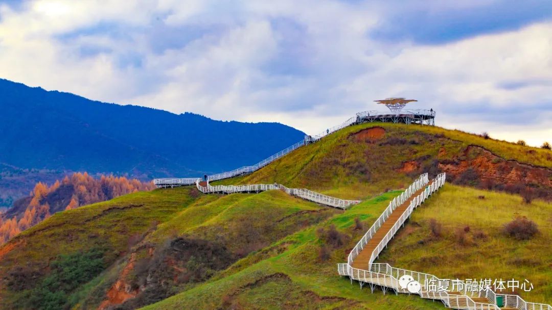 秋染半苍岭 群山披盛装——太子山旅游大通道串起一路好风景_新浪财经